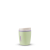 Hip Cactus