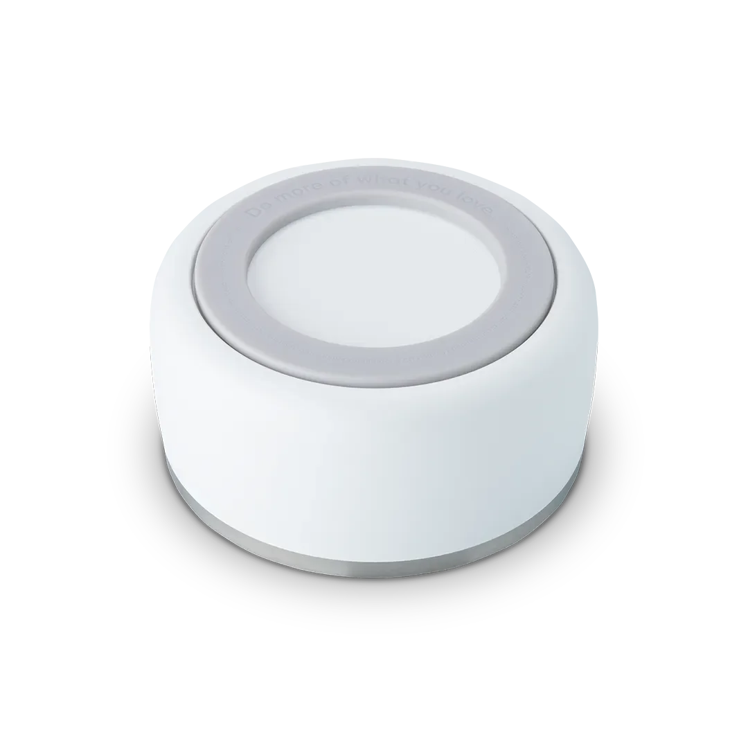 Pet Bowl - Image 2