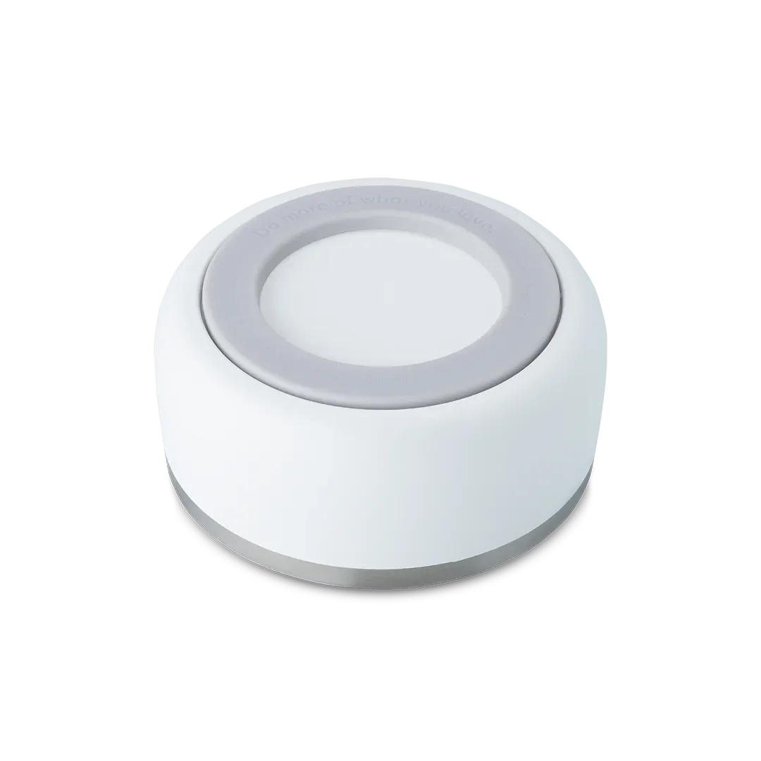 Pet Bowl - Image 2
